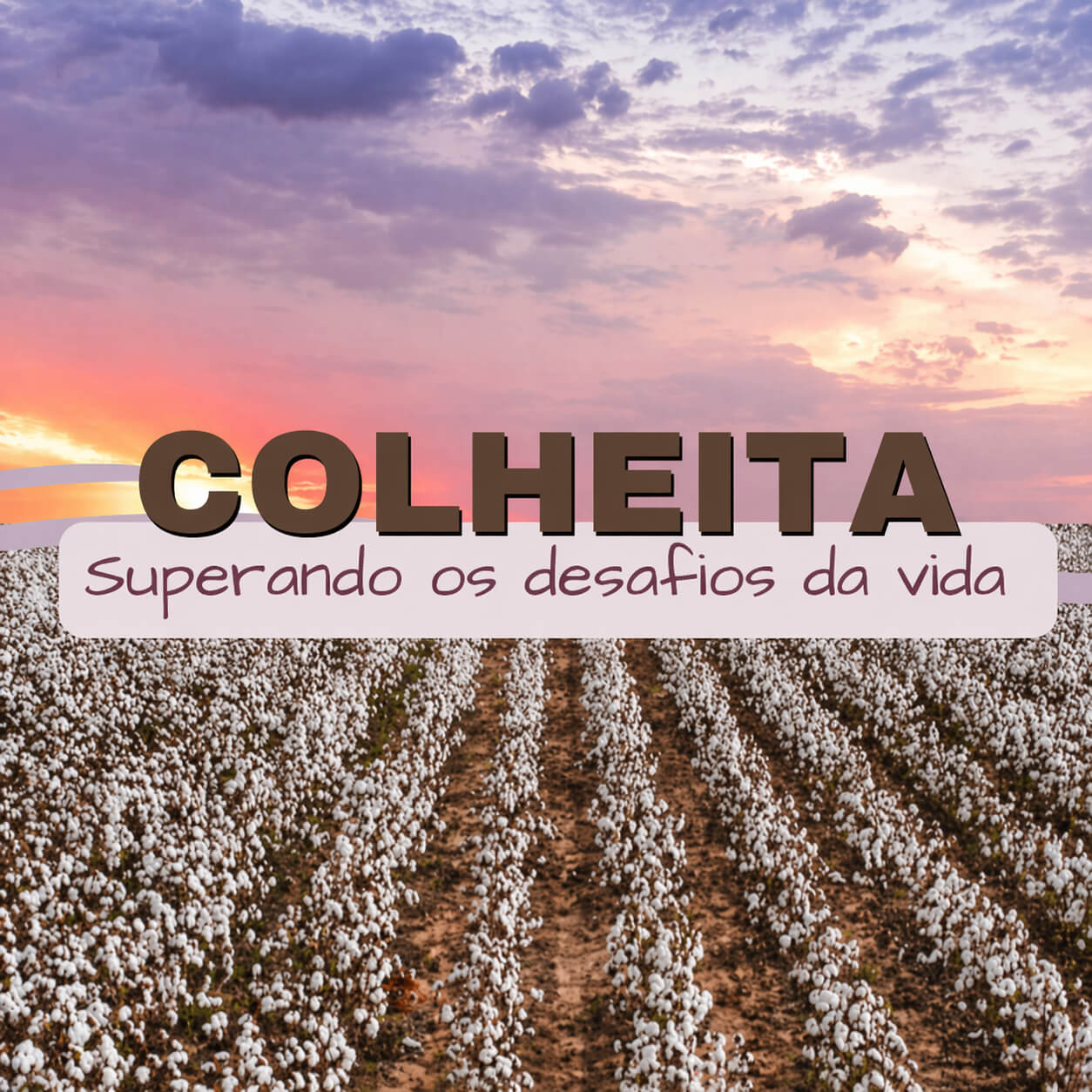 Palestra: Colheita